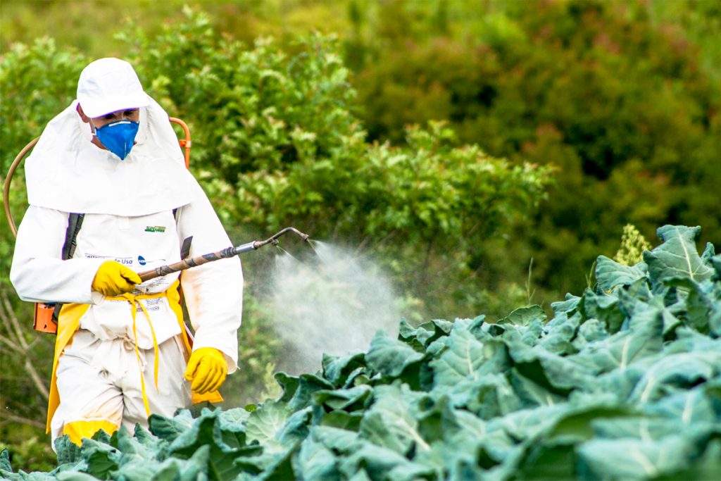 Ce este un pesticid?